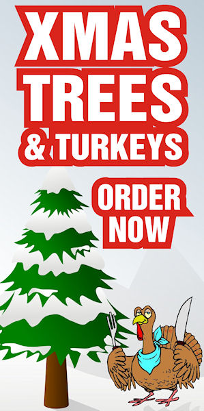 turkeys_and_trees